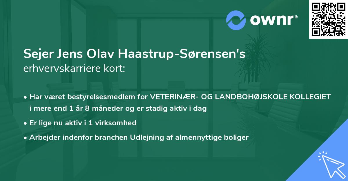 Sejer Jens Olav Haastrup-Sørensen's erhvervskarriere kort