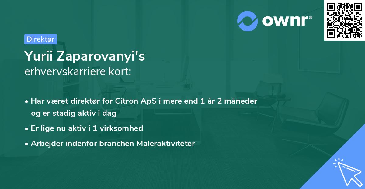 Yurii Zaparovanyi's erhvervskarriere kort