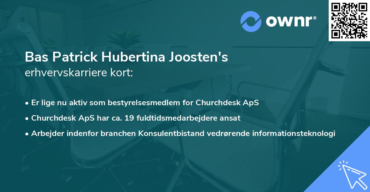 Bas Patrick Hubertina Joosten's erhvervskarriere kort