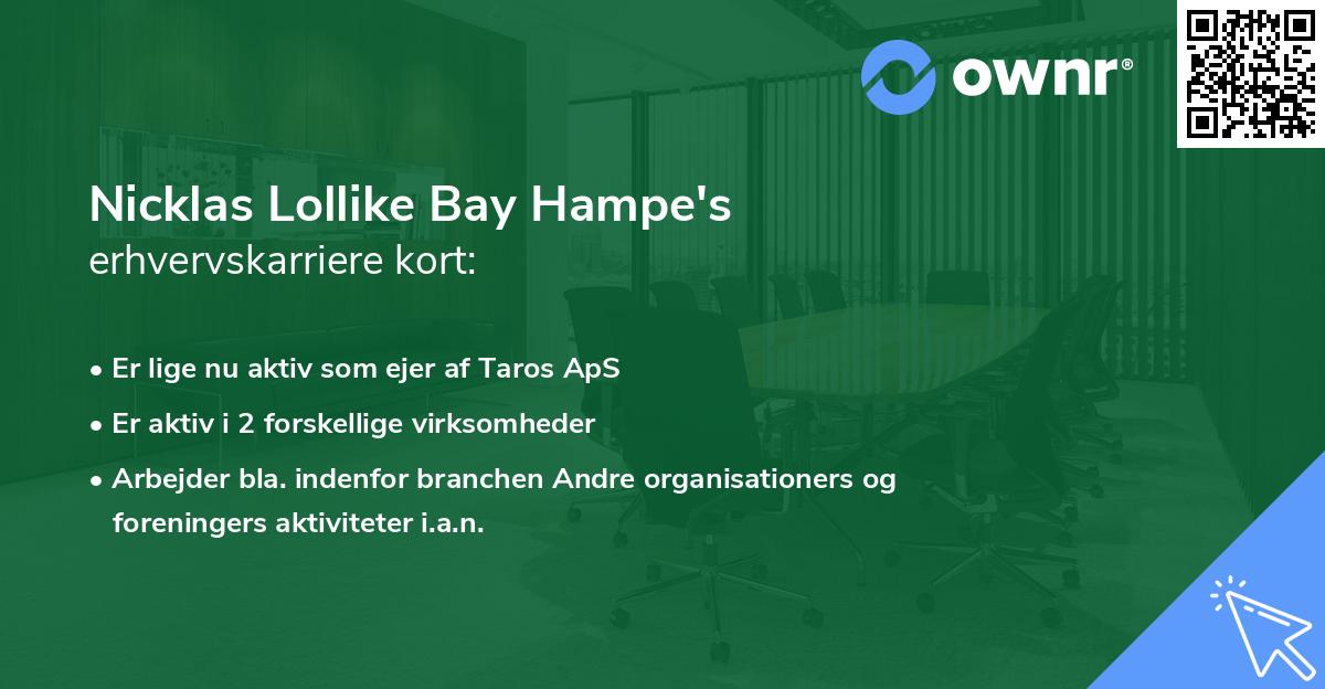 Nicklas Lollike Bay Hampe's erhvervskarriere kort