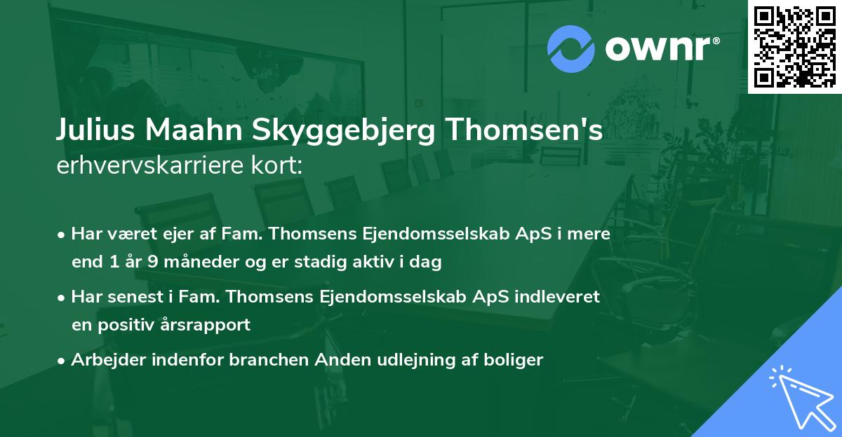 Julius Maahn Skyggebjerg Thomsen's erhvervskarriere kort