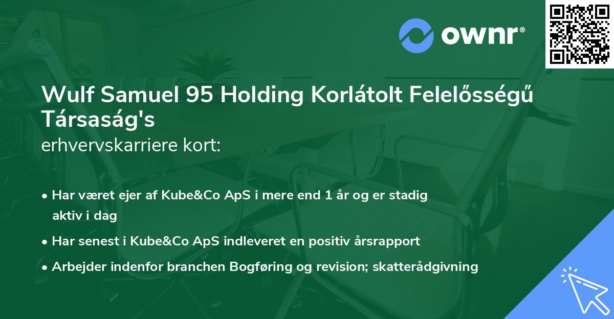 Wulf Samuel 95 Holding Korlátolt Felelősségű Társaság's erhvervskarriere kort