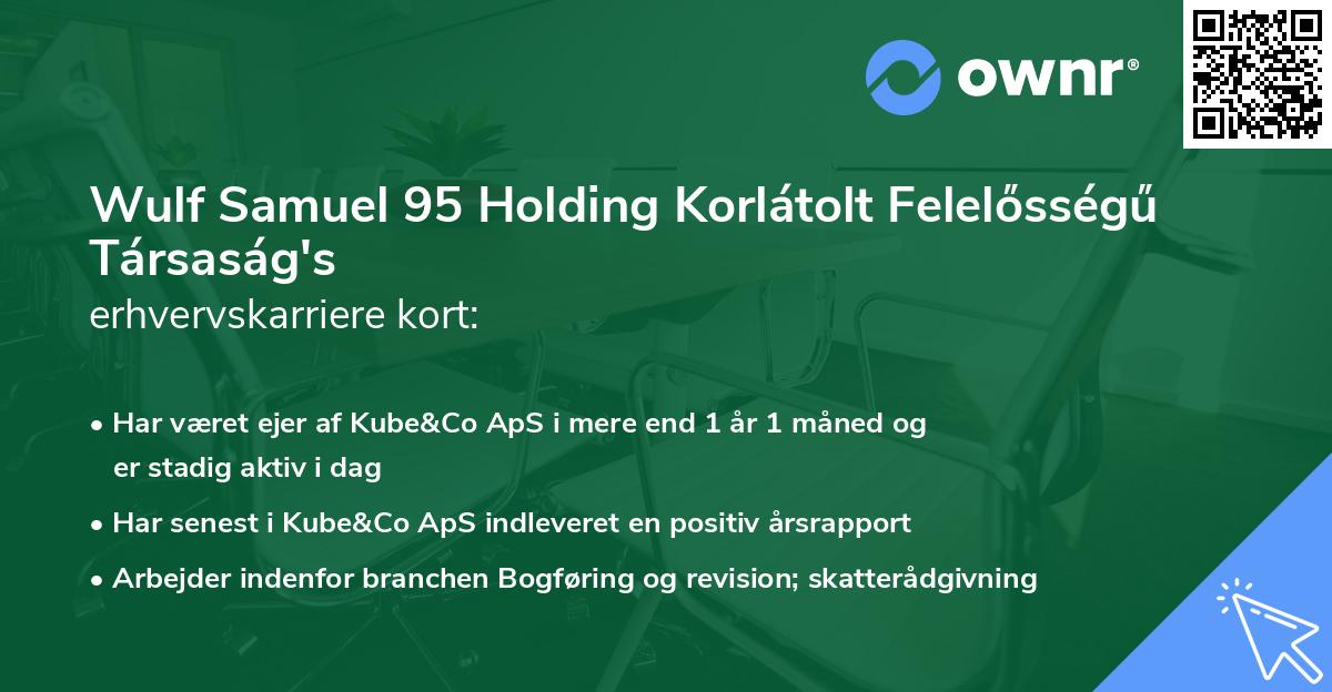 Wulf Samuel 95 Holding Korlátolt Felelősségű Társaság's erhvervskarriere kort