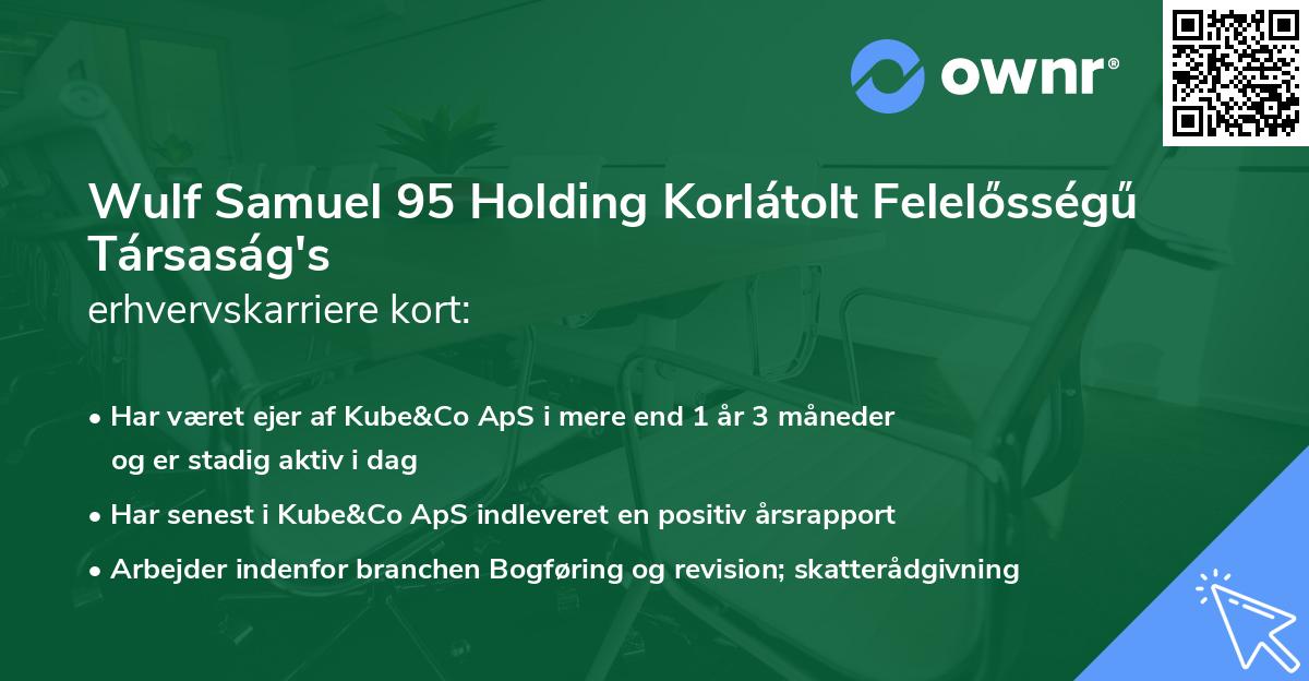 Wulf Samuel 95 Holding Korlátolt Felelősségű Társaság's erhvervskarriere kort