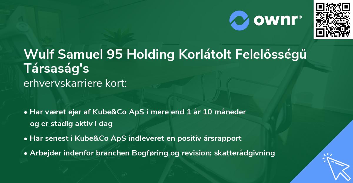 Wulf Samuel 95 Holding Korlátolt Felelősségű Társaság's erhvervskarriere kort