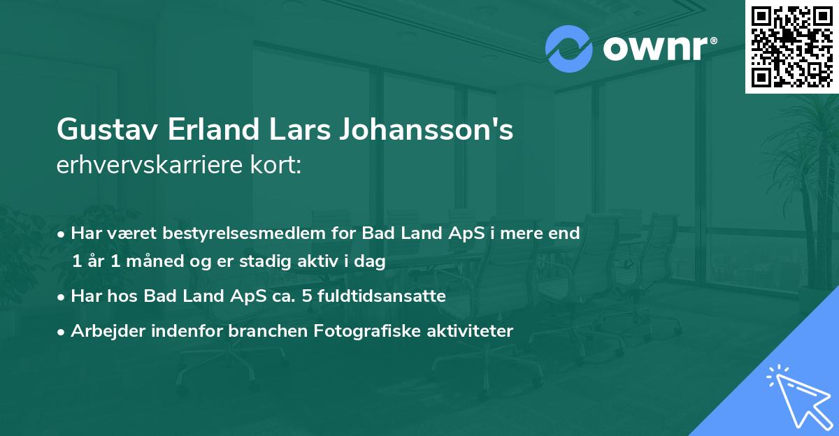 Gustav Erland Lars Johansson's erhvervskarriere kort