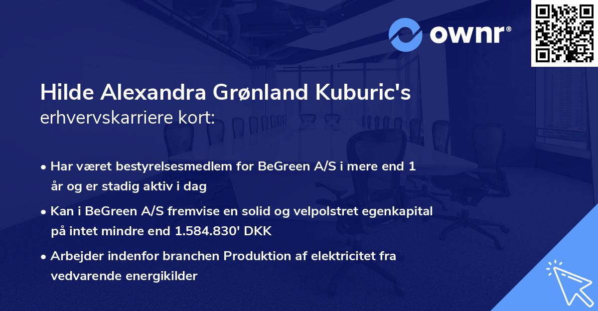 Hilde Alexandra Grønland Kuburic's erhvervskarriere kort
