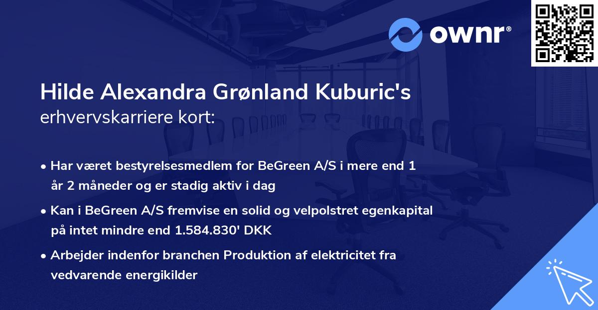Hilde Alexandra Grønland Kuburic's erhvervskarriere kort