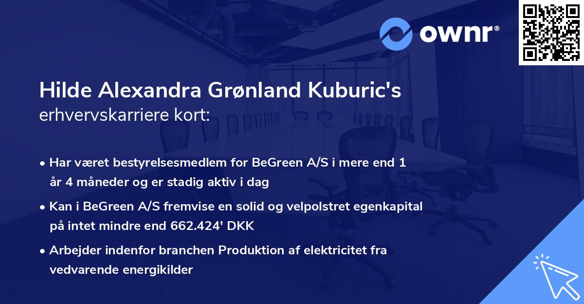 Hilde Alexandra Grønland Kuburic's erhvervskarriere kort