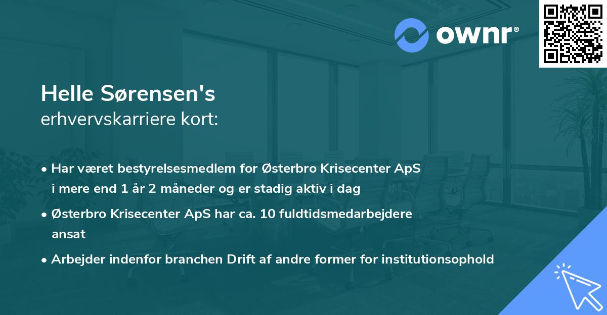 Helle Sørensen's erhvervskarriere kort