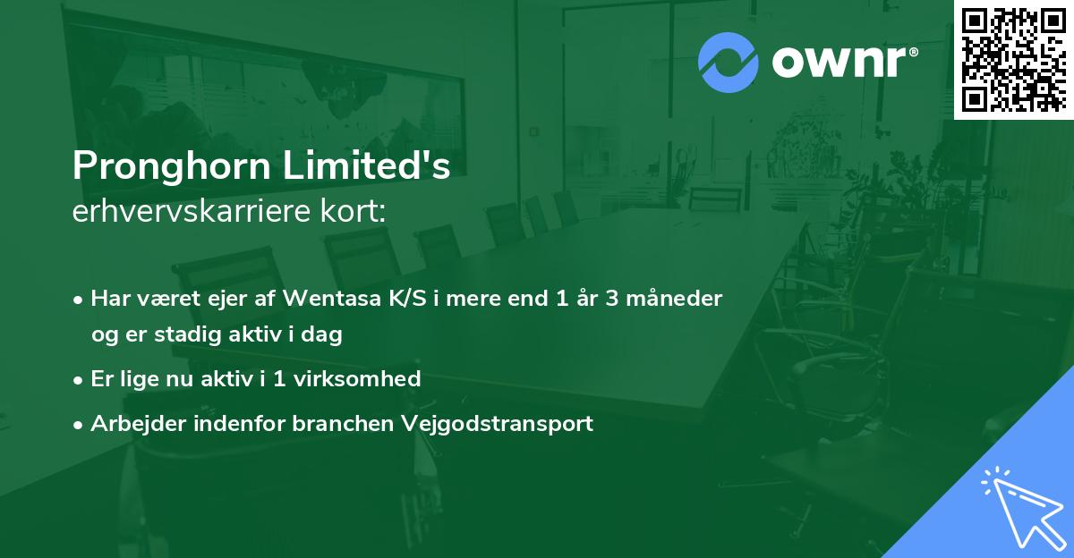 Pronghorn Limited's erhvervskarriere kort