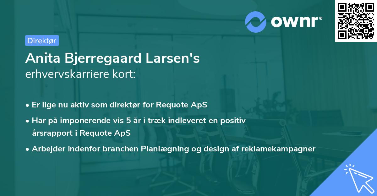 Anita Bjerregaard Larsen's erhvervskarriere kort