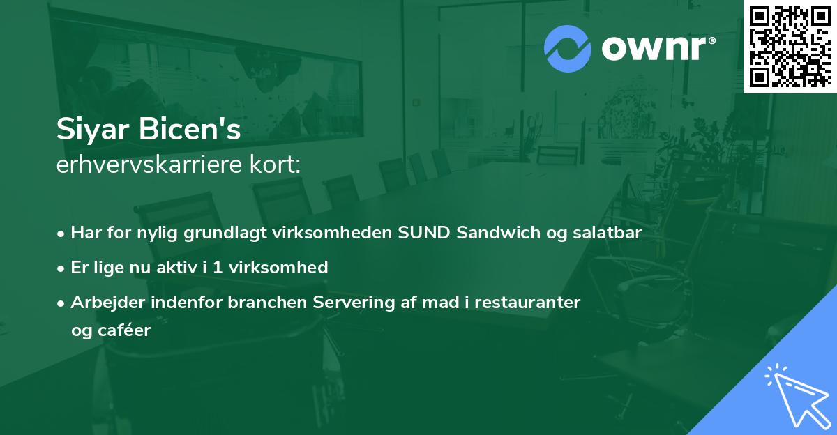 Siyar Bicen's erhvervskarriere kort