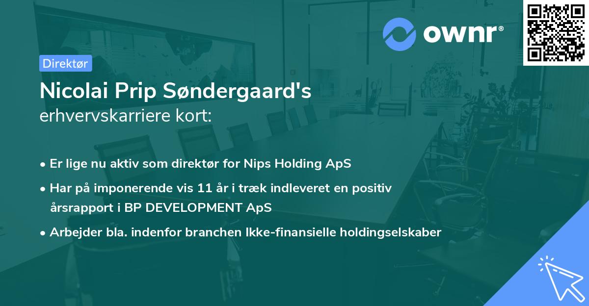 Nicolai Prip Søndergaard's erhvervskarriere kort