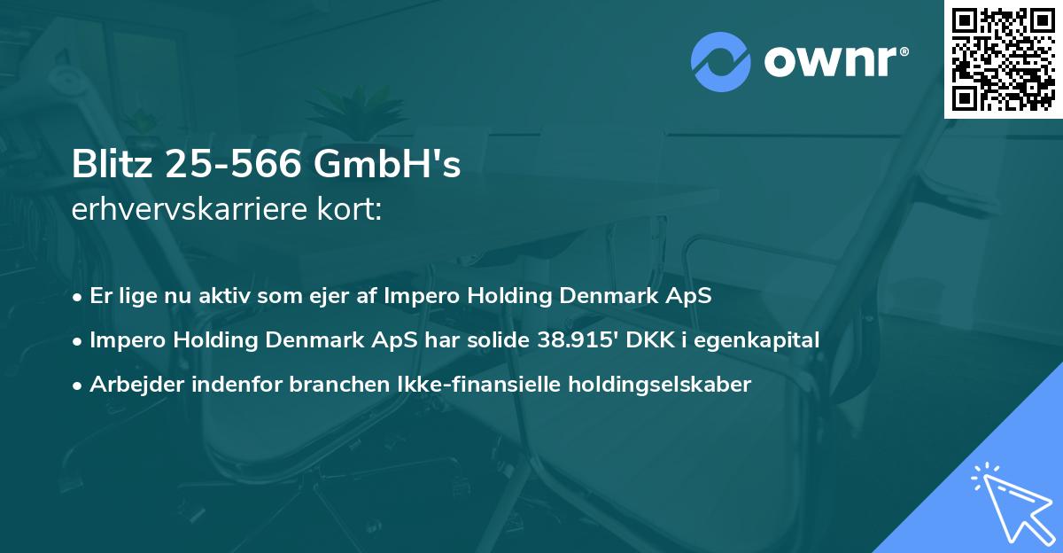 Blitz 25-566 GmbH's erhvervskarriere kort