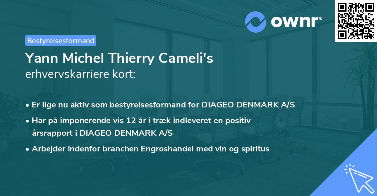 Yann Michel Thierry Cameli's erhvervskarriere kort