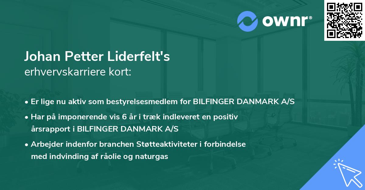 Johan Petter Liderfelt's erhvervskarriere kort