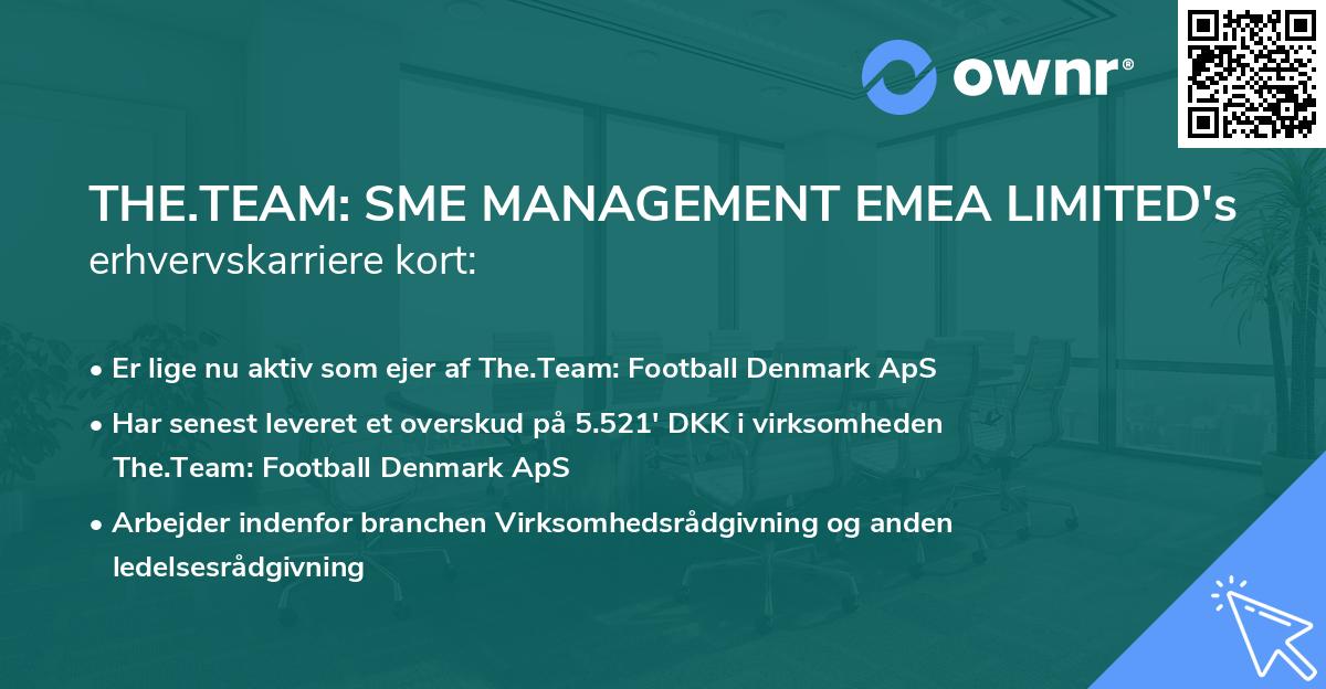THE.TEAM: SME MANAGEMENT EMEA LIMITED's erhvervskarriere kort
