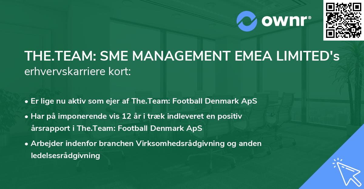 THE.TEAM: SME MANAGEMENT EMEA LIMITED's erhvervskarriere kort