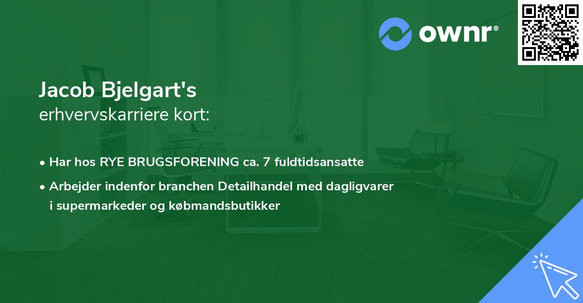 Jacob Bjelgart's erhvervskarriere kort