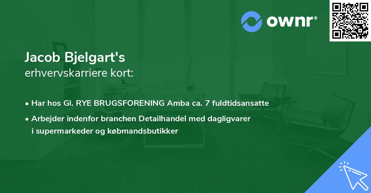 Jacob Bjelgart's erhvervskarriere kort