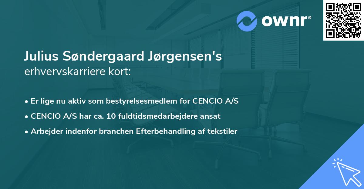 Julius Søndergaard Jørgensen's erhvervskarriere kort