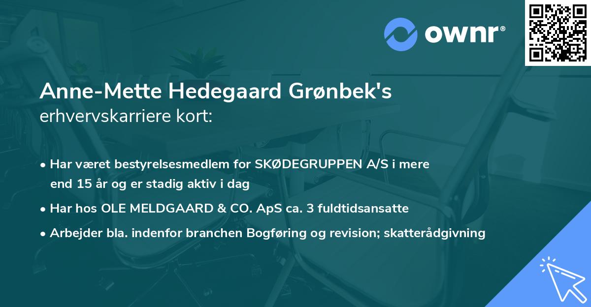 Anne-Mette Hedegaard Grønbek's erhvervskarriere kort