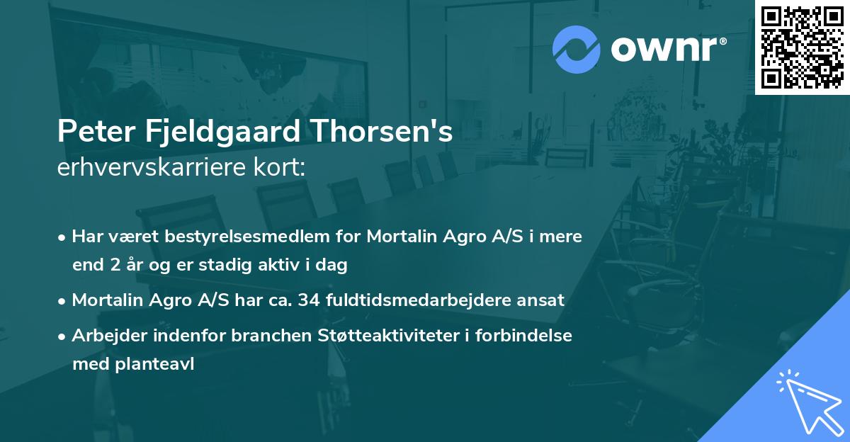 Peter Fjeldgaard Thorsen's erhvervskarriere kort