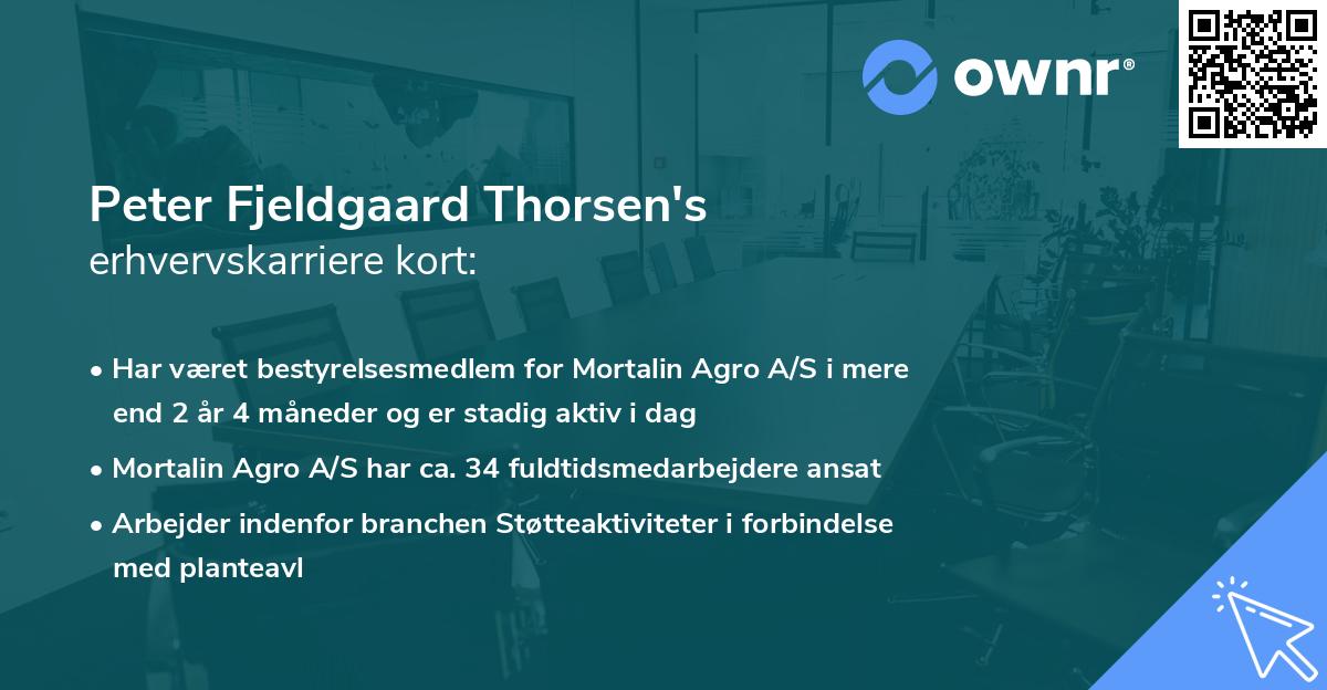 Peter Fjeldgaard Thorsen's erhvervskarriere kort