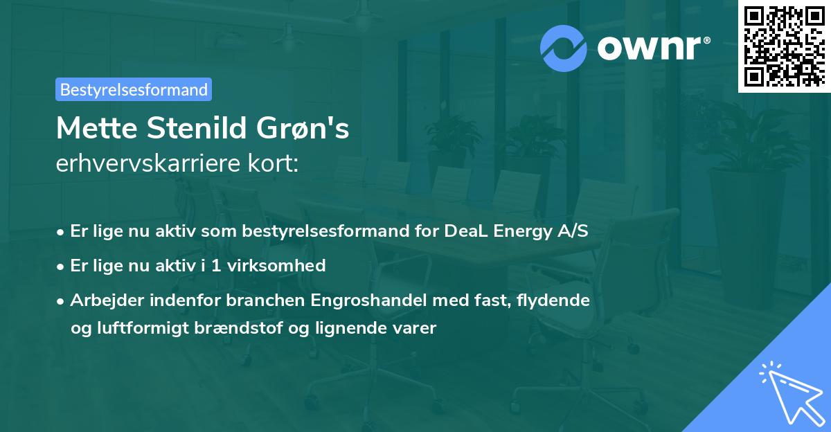 Mette Stenild Grøn's erhvervskarriere kort