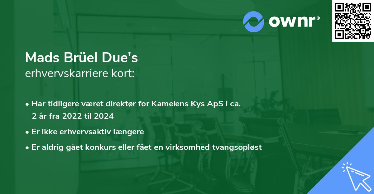 Mads Brüel Due's erhvervskarriere kort