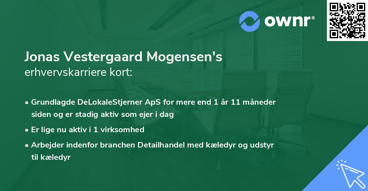Jonas Vestergaard Mogensen's erhvervskarriere kort