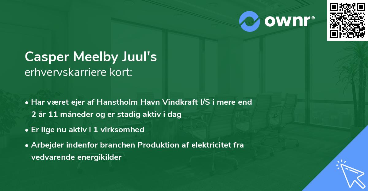 Casper Meelby Juul's erhvervskarriere kort