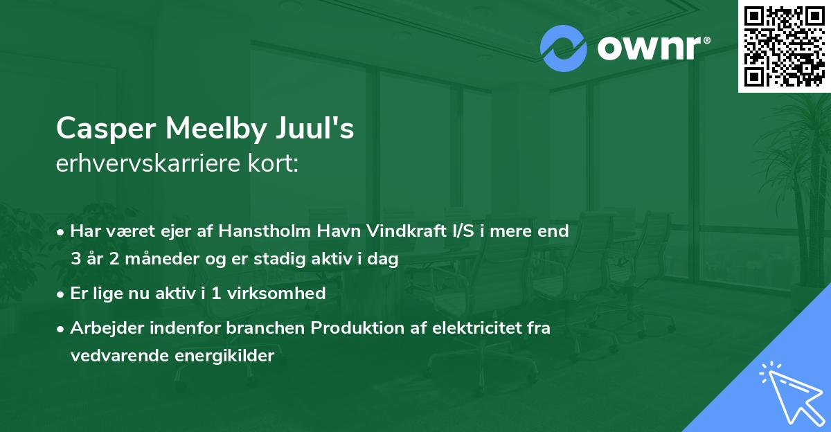 Casper Meelby Juul's erhvervskarriere kort