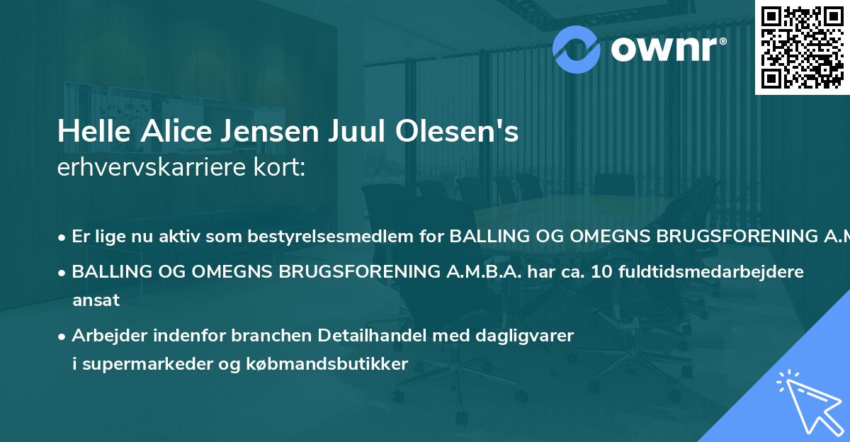 Helle Alice Jensen Juul Olesen's erhvervskarriere kort