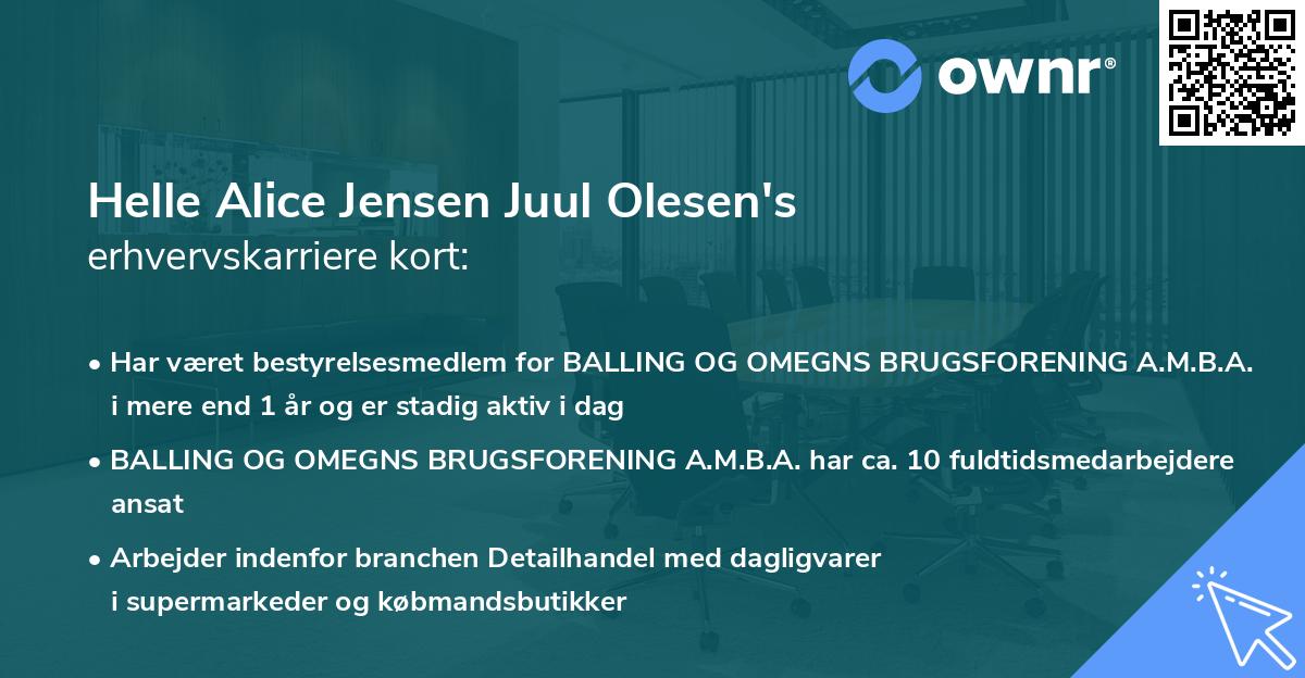 Helle Alice Jensen Juul Olesen's erhvervskarriere kort