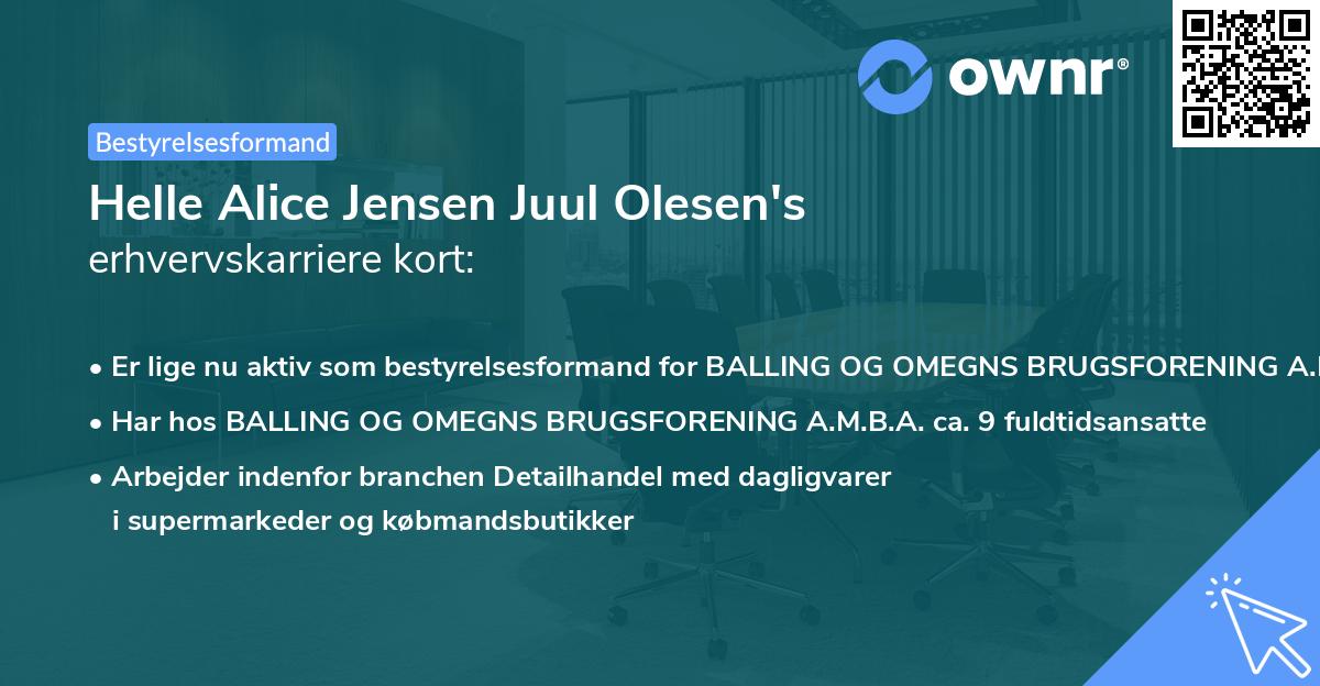 Helle Alice Jensen Juul Olesen's erhvervskarriere kort