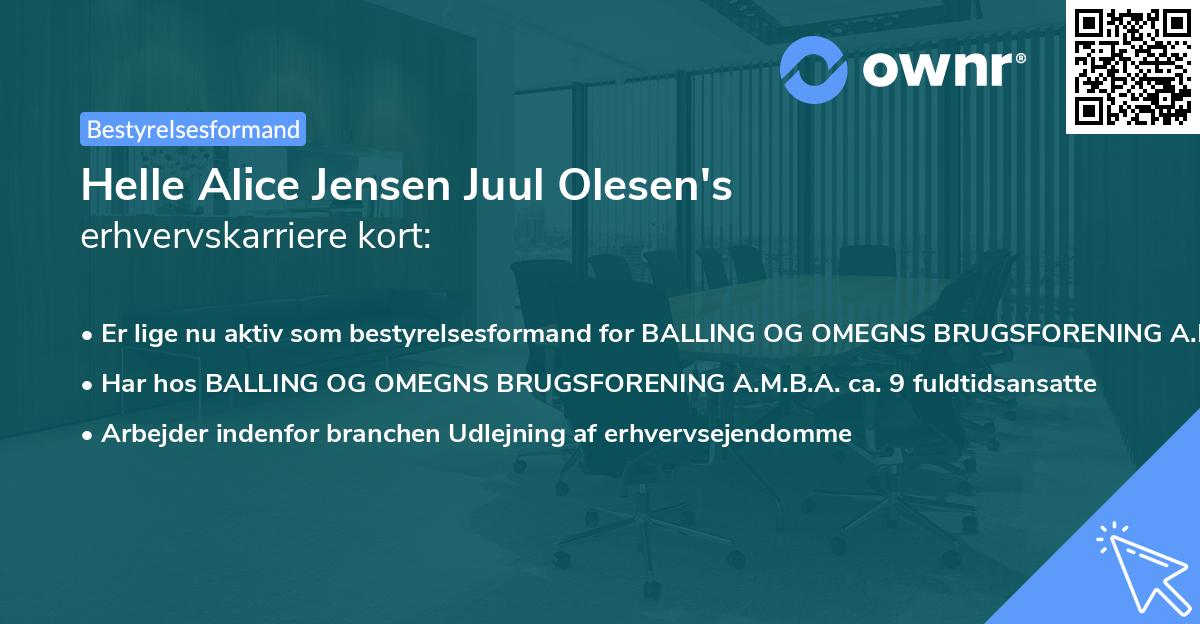 Helle Alice Jensen Juul Olesen's erhvervskarriere kort
