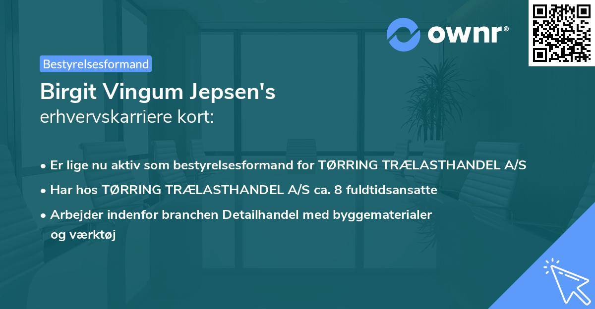 Birgit Vingum Jepsen's erhvervskarriere kort