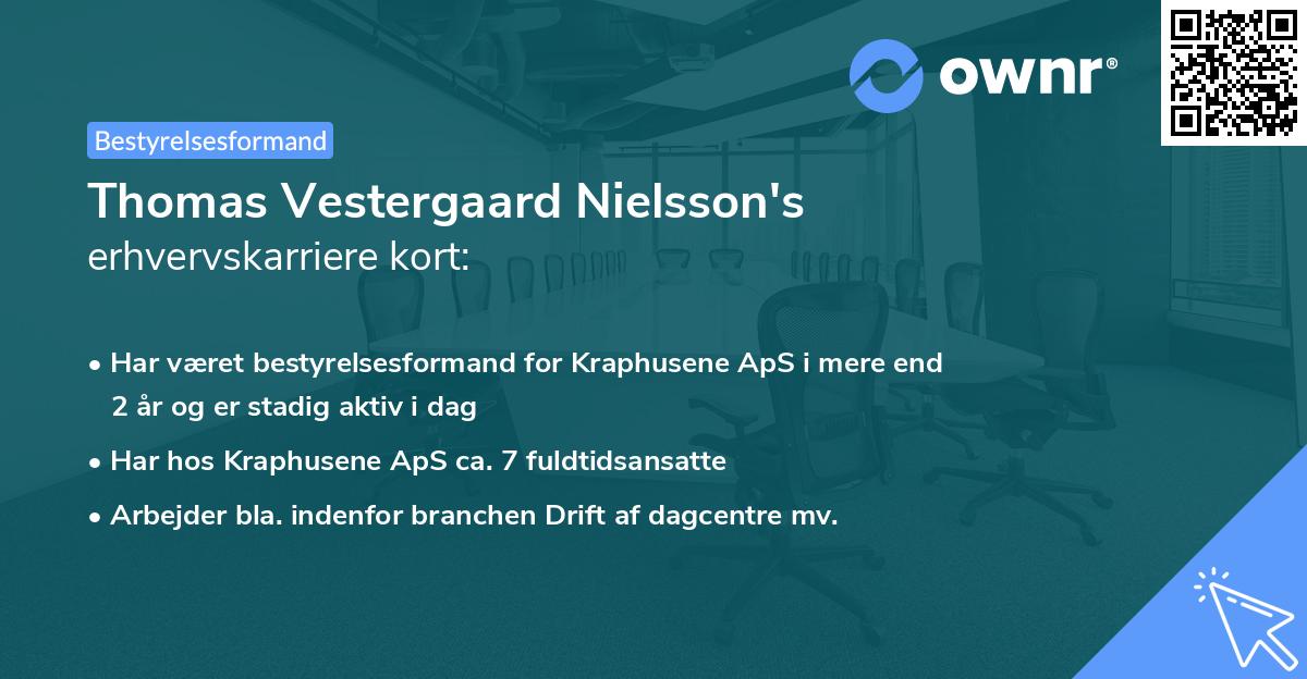 Thomas Vestergaard Nielsson's erhvervskarriere kort