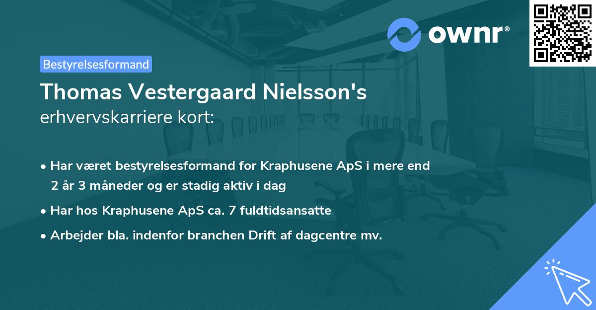 Thomas Vestergaard Nielsson's erhvervskarriere kort