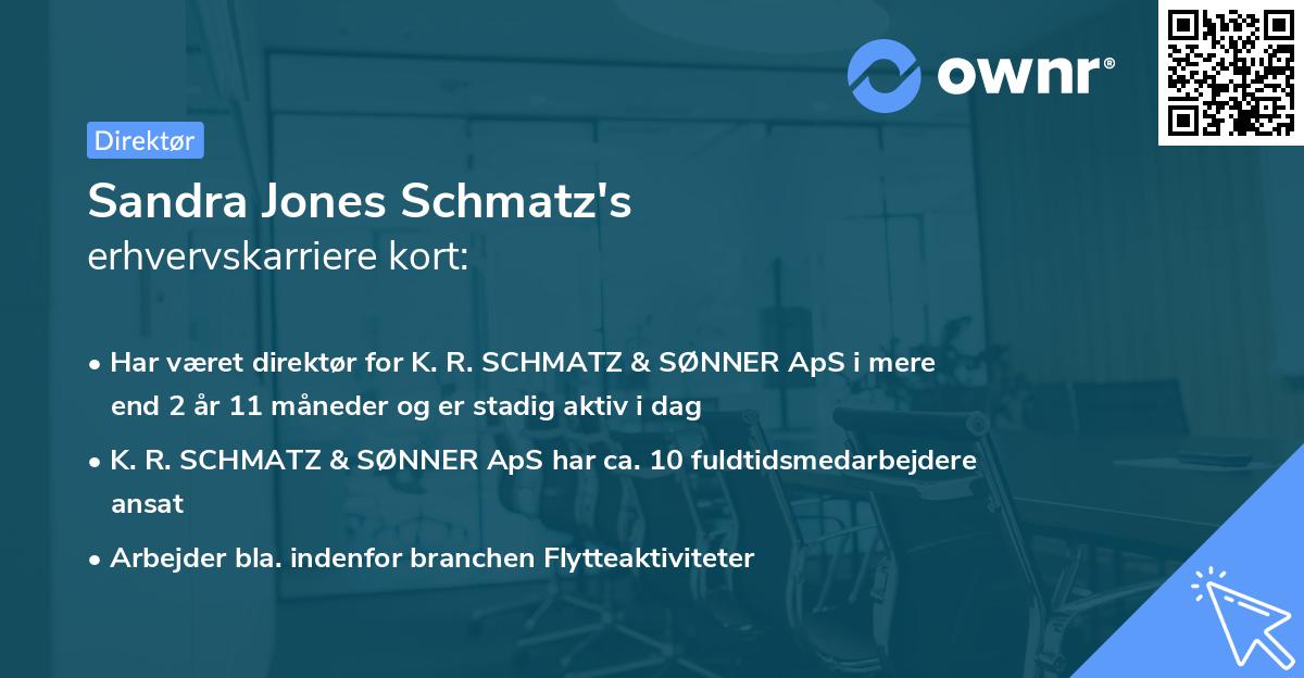 Sandra Jones Schmatz's erhvervskarriere kort