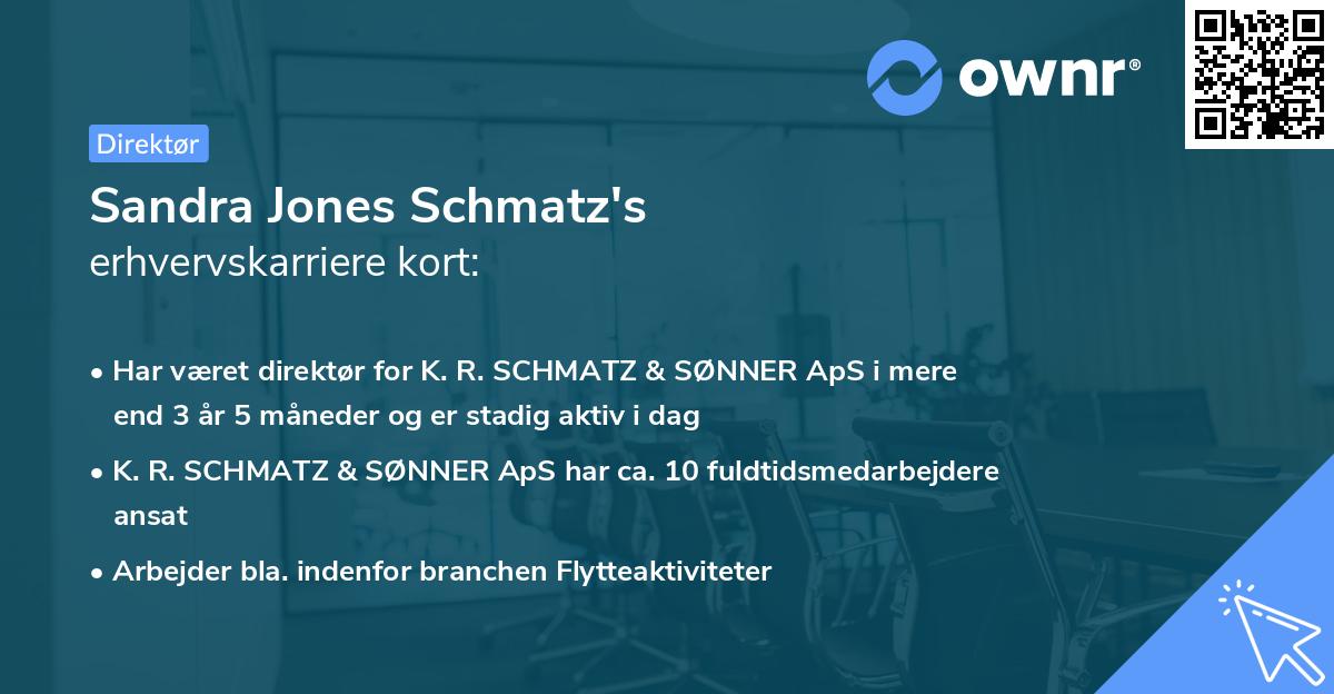 Sandra Jones Schmatz's erhvervskarriere kort