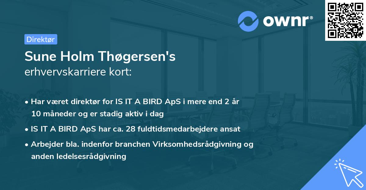Sune Holm Thøgersen's erhvervskarriere kort