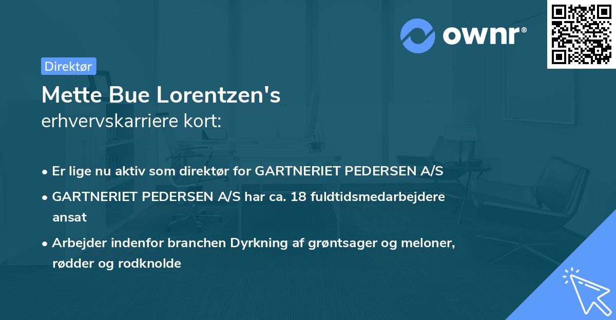 Mette Bue Lorentzen's erhvervskarriere kort