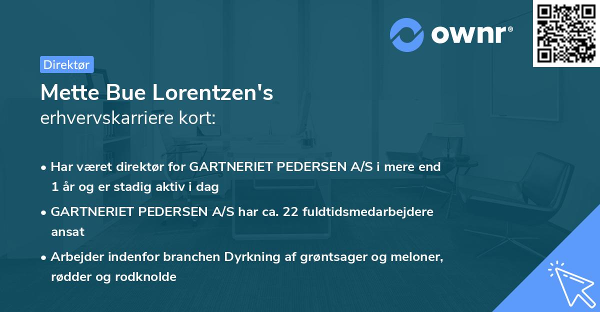 Mette Bue Lorentzen's erhvervskarriere kort