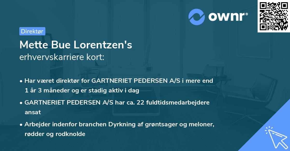 Mette Bue Lorentzen's erhvervskarriere kort