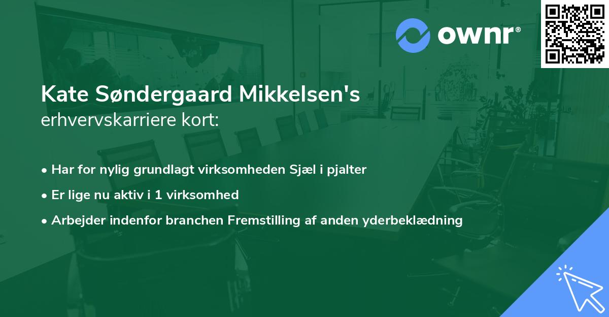 Kate Søndergaard Mikkelsen's erhvervskarriere kort