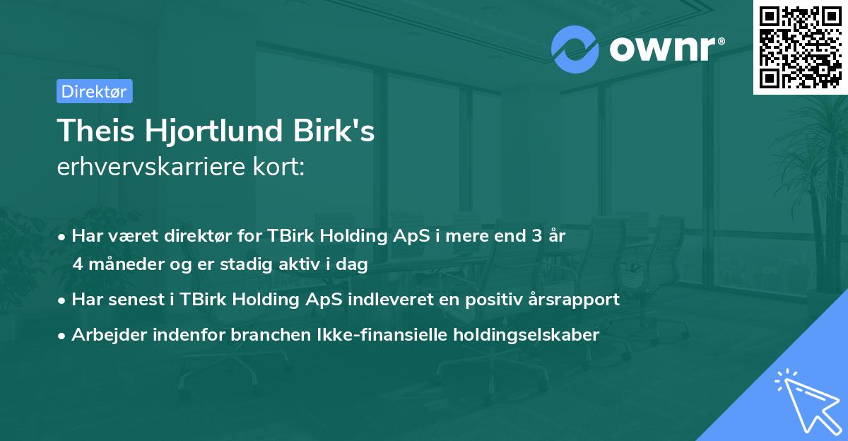 Theis Hjortlund Birk's erhvervskarriere kort