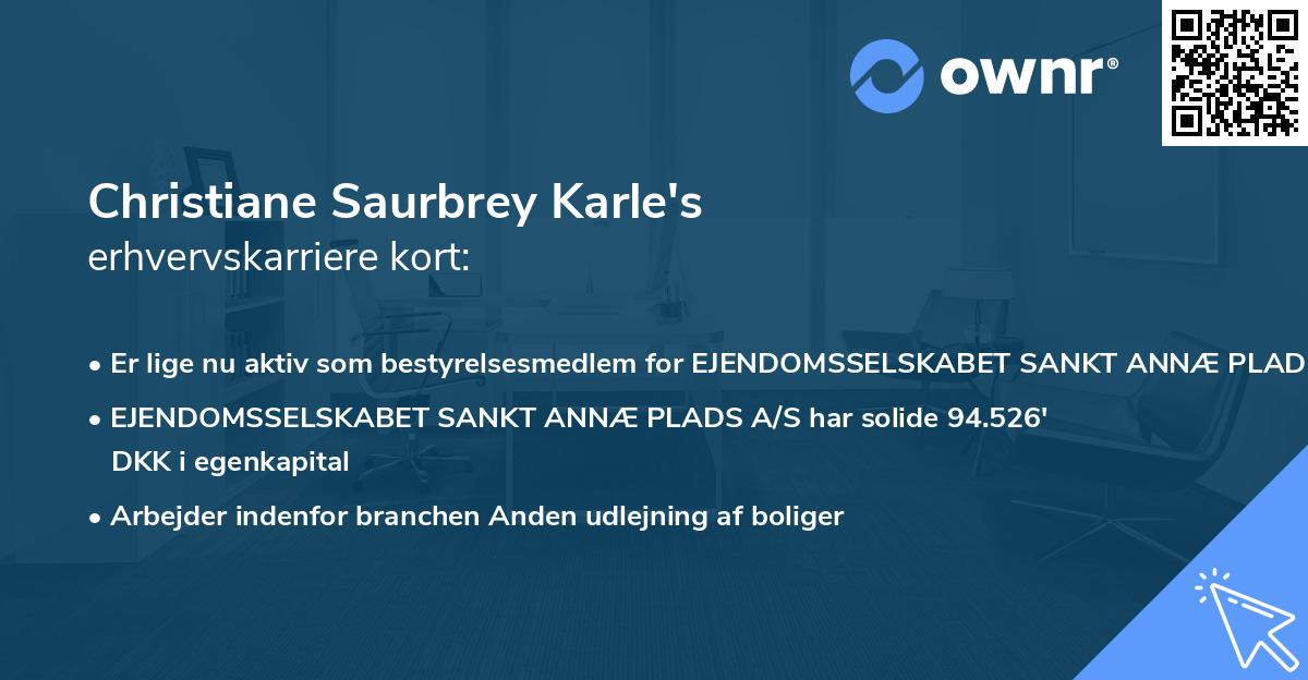 Christiane Saurbrey Karle's erhvervskarriere kort